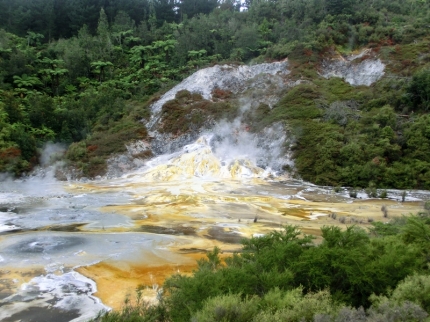 waitomo (37)